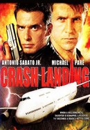 Crash Landing poster image