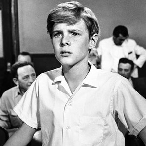 Zebra in the Kitchen (1965) photo 6