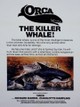 Orca