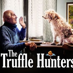 "The Truffle Hunters photo 10"
