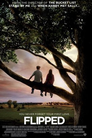 Flipped poster