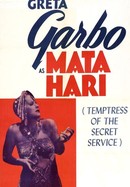 Mata Hari poster image