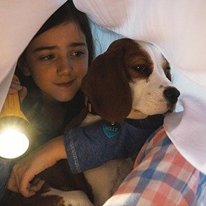 A scene from "A Dog's Journey." photo 1