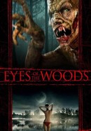 Eyes of the Woods poster image