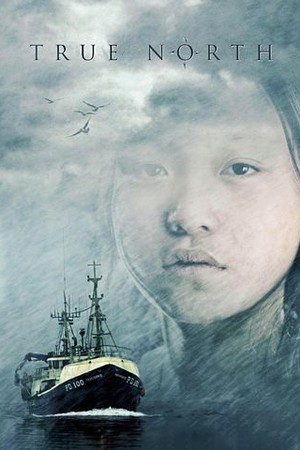 True North poster