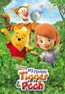 My Friends Tigger & Pooh poster image
