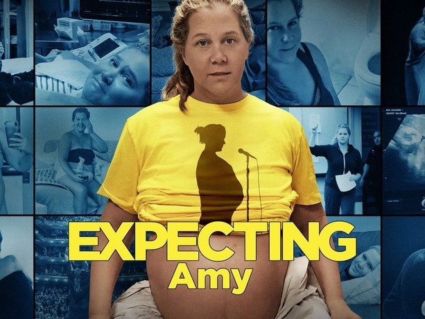 Expecting Amy Rotten Tomatoes