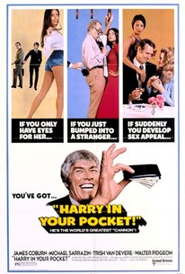 Poster for Harry in Your Pocket