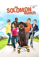 The Solomon Bunch poster image