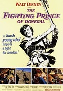 The Fighting Prince of Donegal poster image