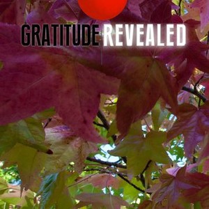 Gratitude Revealed photo 11