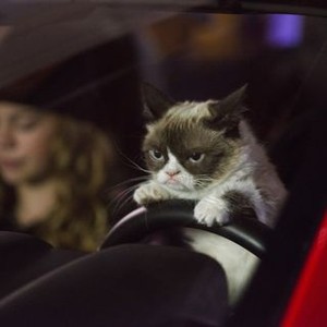 Grumpy Cats Worst Christmas Ever 2014 Rotten Tomatoes
