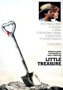 Little Treasure poster image