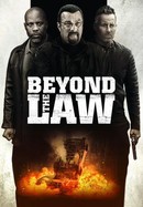 Beyond the Law poster image