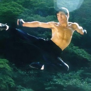 The Leopard Fist Ninja - Rotten Tomatoes