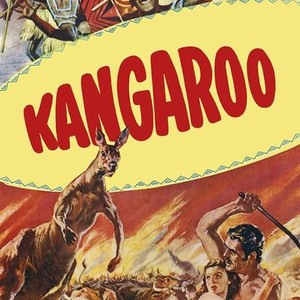 "Kangaroo photo 6"