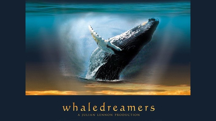 その他 Whaledreamers [DVD] Amazon.co.jp: Whale Rider / [DVD] : DVD