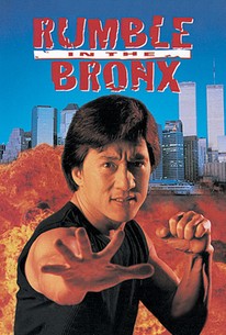 Rumble in the Bronx poster