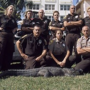 Miami Animal Police: Season 1, Episode 11 - Rotten Tomatoes