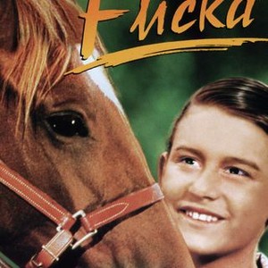 My Friend Flicka (1943) photo 1