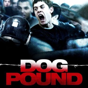 Dog Pound (2010) - Rotten Tomatoes