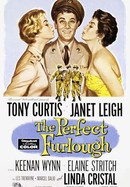 The Perfect Furlough poster image