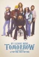 If I Leave Here Tomorrow: A Film About Lynyrd Skynyrd poster image