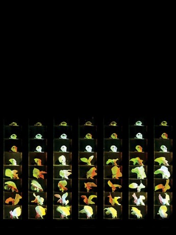 その他 Picasso &amp; Braque Go to the Movies [DVD] Picasso & Braque Go to the Movies [Import]: Amazon.ca