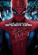 The Amazing Spider-Man poster image