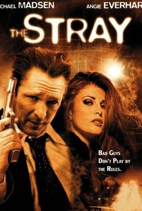 Poster for The Stray