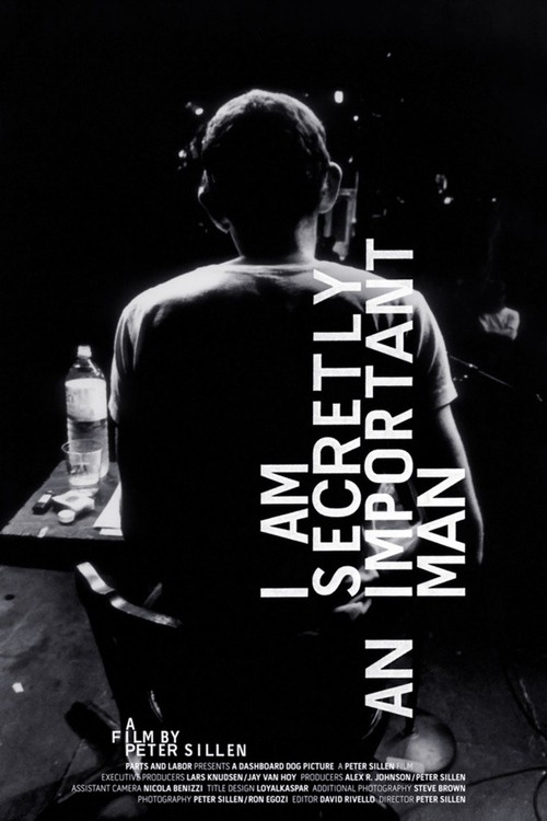I Am Secretly an Important Man poster