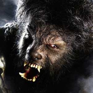 Image result for the wolfman