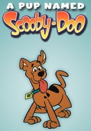 A Pup Named Scooby-Doo poster image