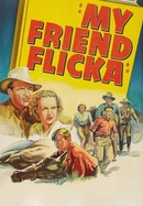 My Friend Flicka poster image
