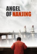 Angel of Nanjing poster image