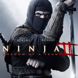 Ninja II: Shadow of a Tear - Rotten Tomatoes