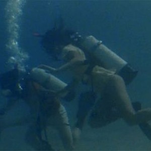 Barracuda (1978) photo 4