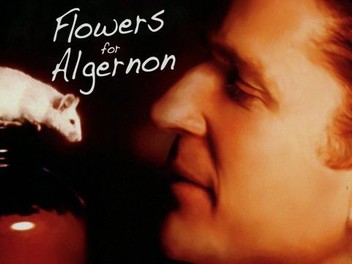flowers for algernon 様取り置き専用　エグゾト 934 flowers for algernon 様取り置き専用 エグゾト 934 flowers for