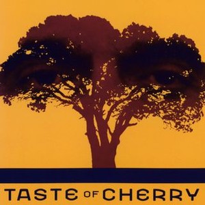 Taste of Cherry (1997) photo 9