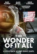 The Wonder of It All poster image