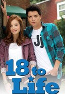 18 to Life poster image