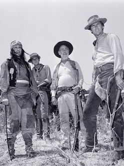 Rawhide on sale