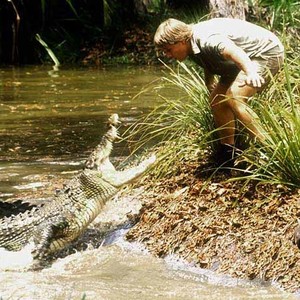 The Crocodile Hunter: Collision Course - Rotten Tomatoes