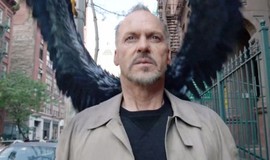 Birdman or (The Unexpected Virtue of Ignorance) - Rotten Tomatoes