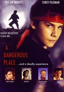 A Dangerous Place poster image