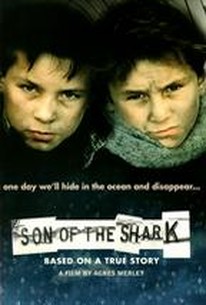 Son of the Shark