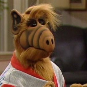 ALF: Season 2, Episode 21 - Rotten Tomatoes