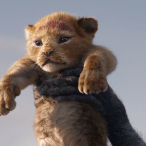The Lion King (2019) photo 11