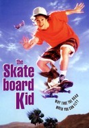 The Skateboard Kid poster image