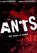 Ants! poster image